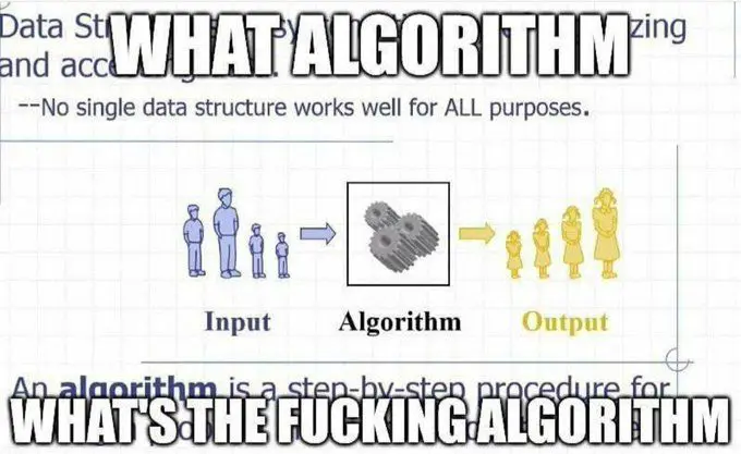 Image showing group of blue masculine characters on the right as "input", an arrow pointing to gears saying "algorithm", and an yellow arrow pointing to a group of feminine characters. Over the image there's an text "What algorithm, what's the fucking algorithm"