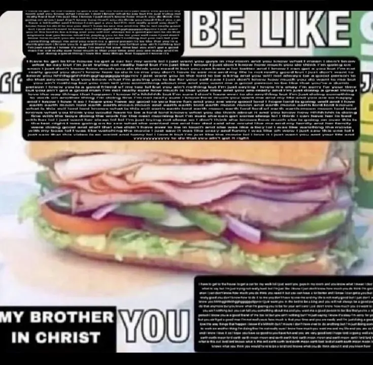 subway sandwich meme (the same one as in the original post), but it contains just incomprehensible and insanely dense amount of text which is unreadable